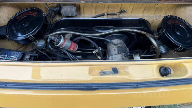 Volkswagen Brasilia 1979 (4)