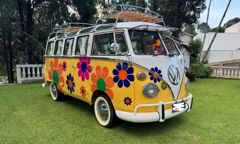 Volkswagen T1 1973 1 2050623 (1)