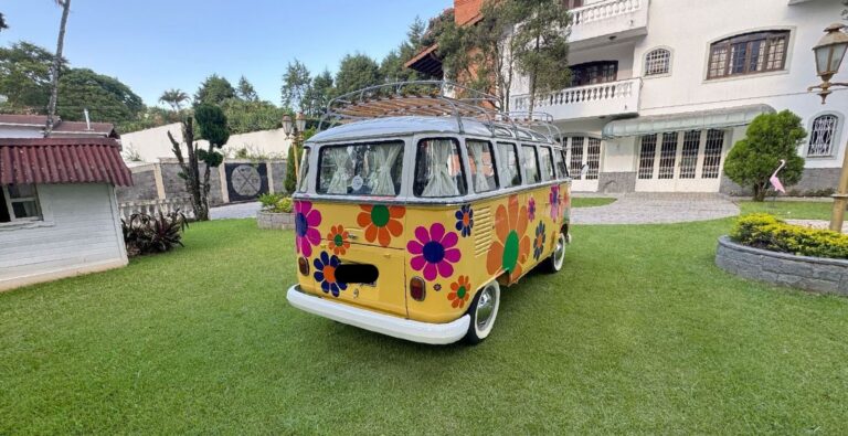 Volkswagen T1 1973 1 2050623 (10)