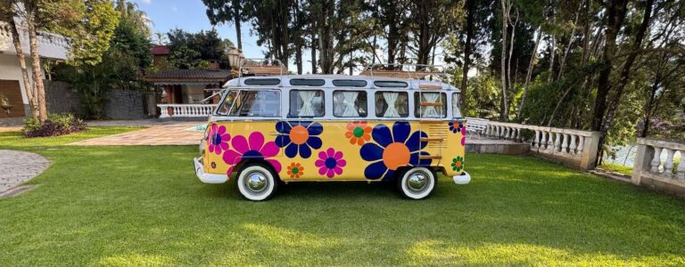 Volkswagen T1 1973 1 2050623 (2)