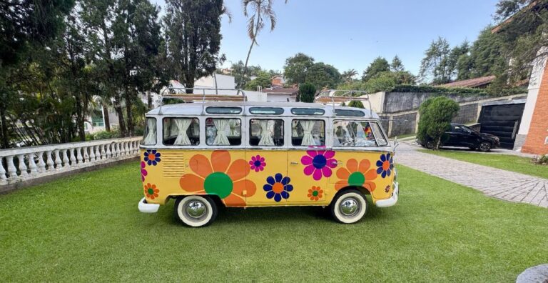 Volkswagen T1 1973 1 2050623 (3)