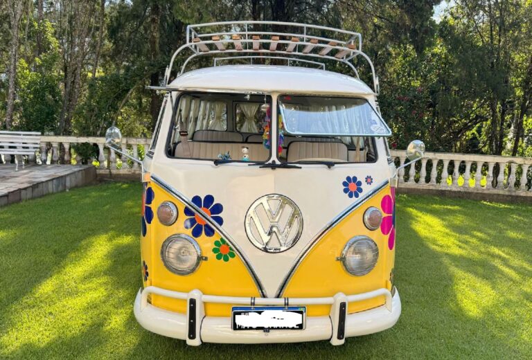 Volkswagen T1 1973 1 2050623 (5)