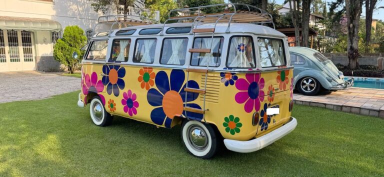 Volkswagen T1 1973 1 2050623 (6)